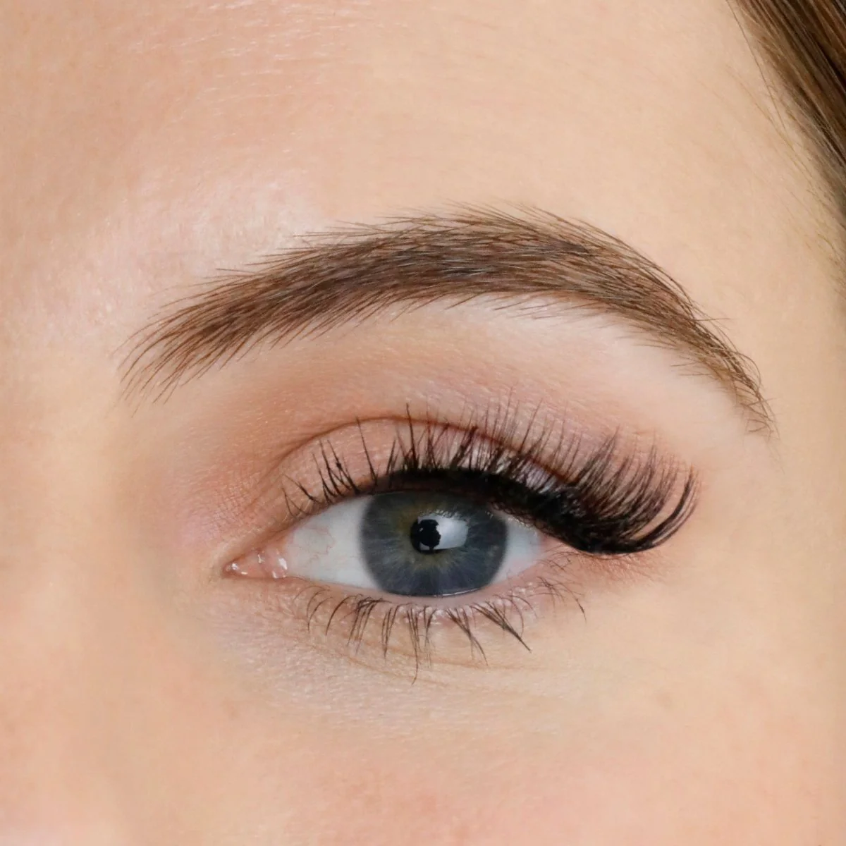Pixie Hybrid Magnetic Half Lash Starter Kit - Image 3