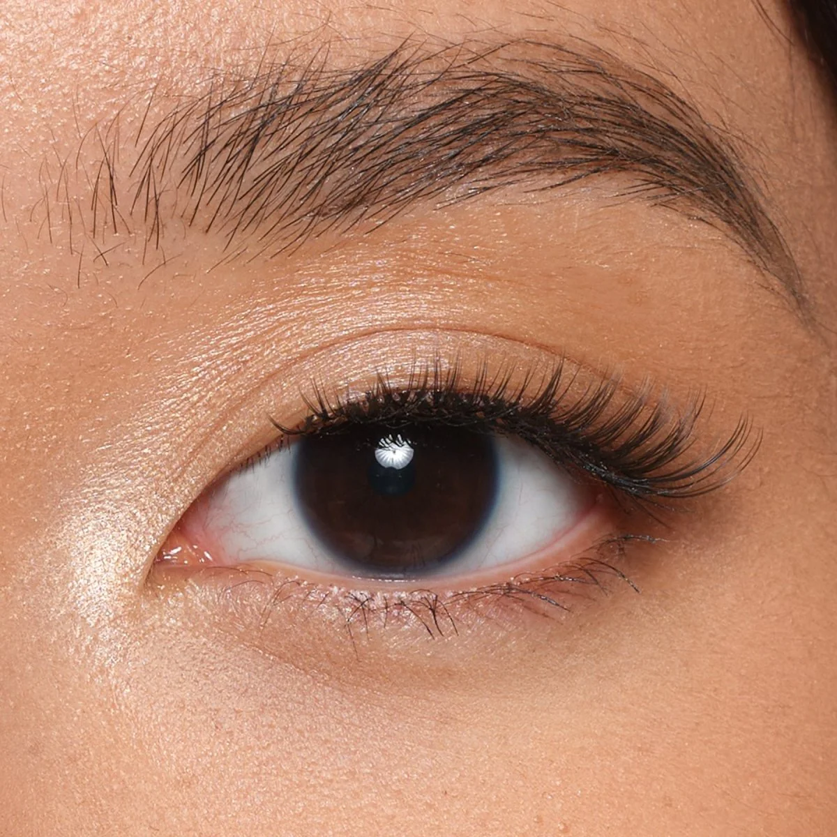 Blush Strip Lashes - Image 3