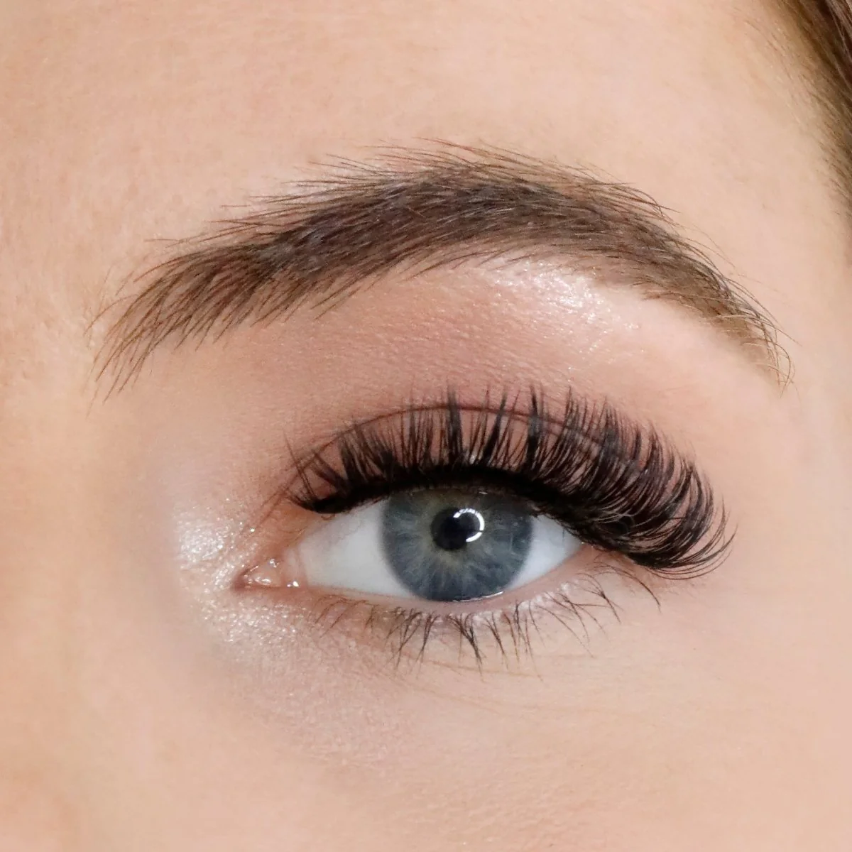 L.W.I Boss it Russian Strip Lash Bundle - Image 4