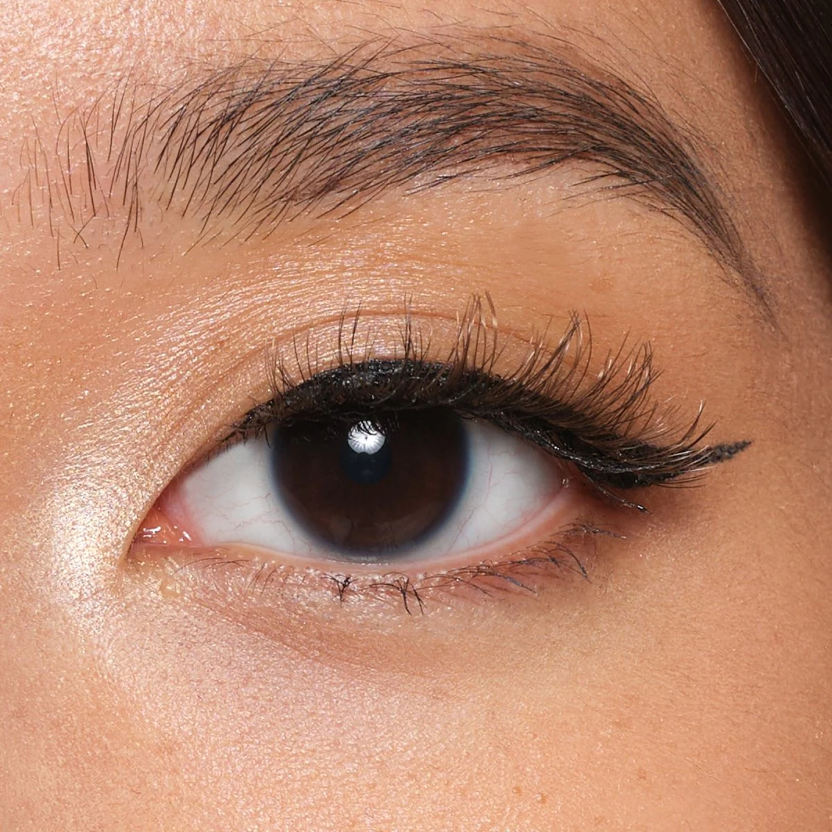 Effortless Hybrid+ Magnetic Lash Starter Set - Image 3