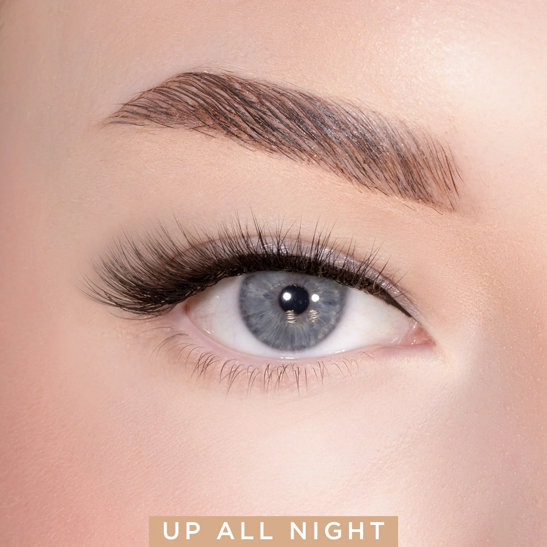 Everynight Strip Lash Duo Kit - Image 4