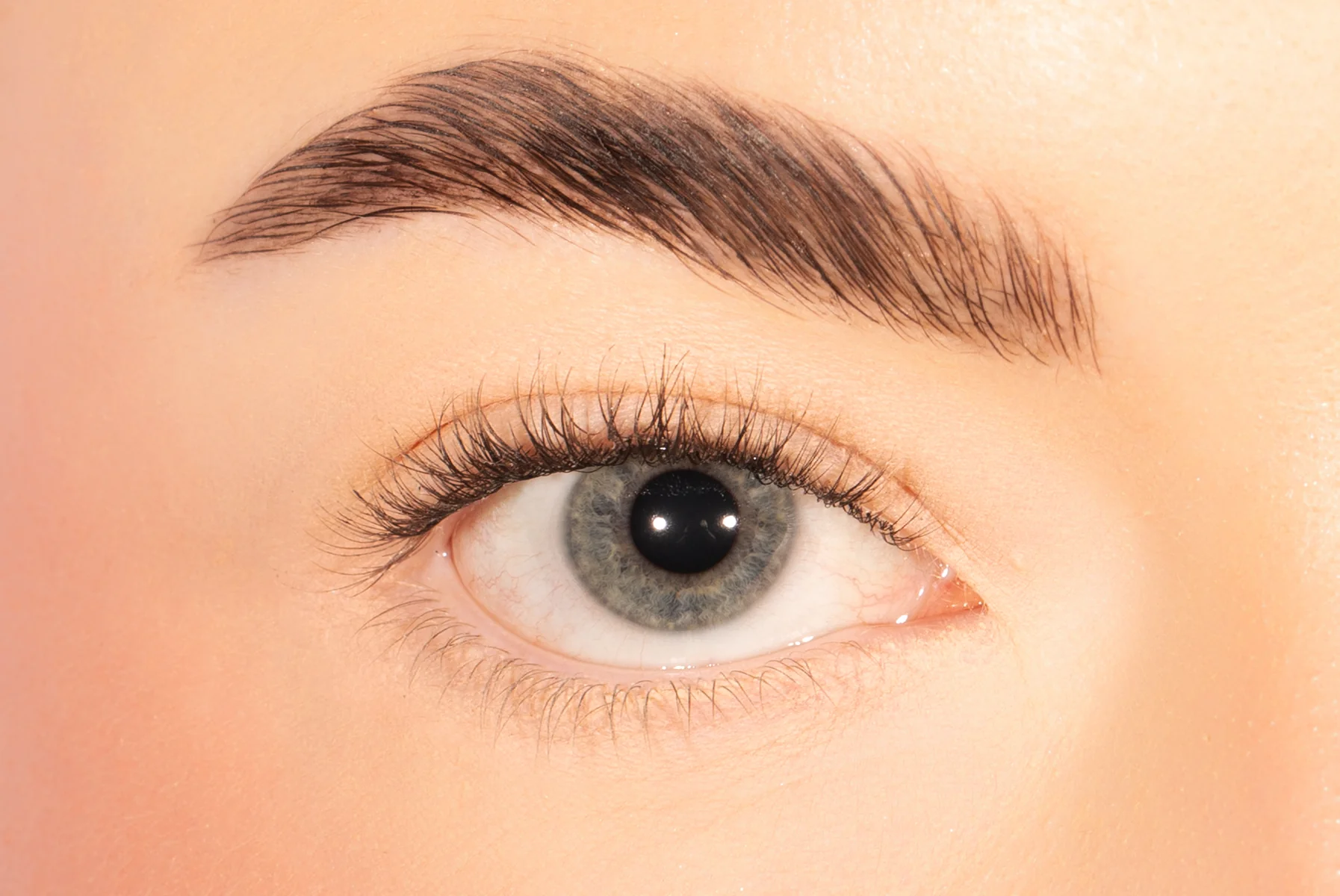 Short Classic DIY Lash Extensions Starter Set - Image 2