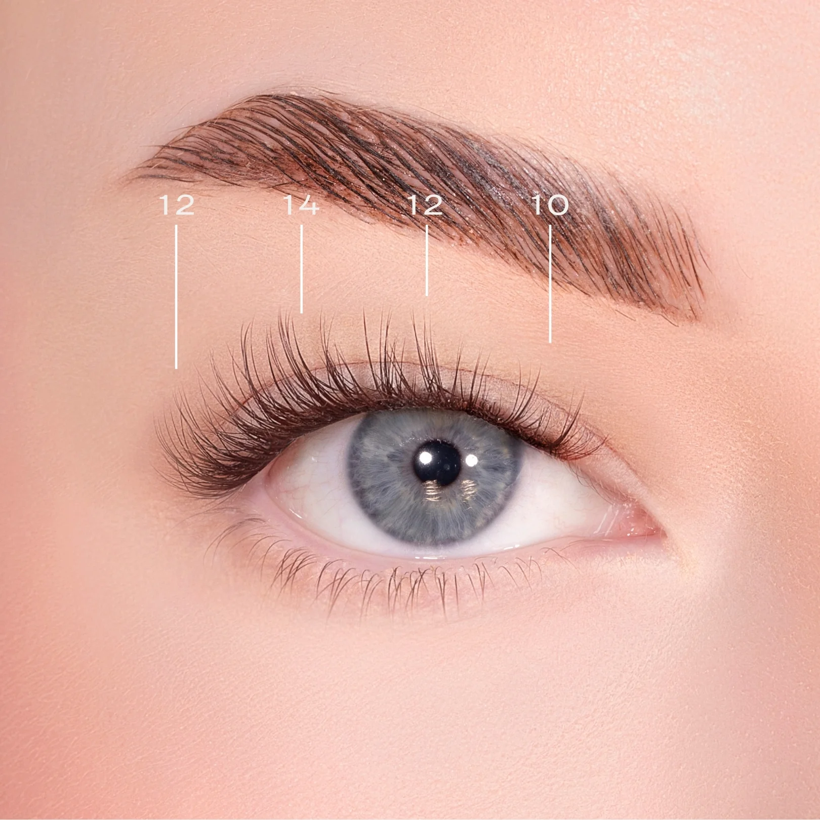 Soft Definition Dark Brown Pre-Glued Lashes Set - Image 4