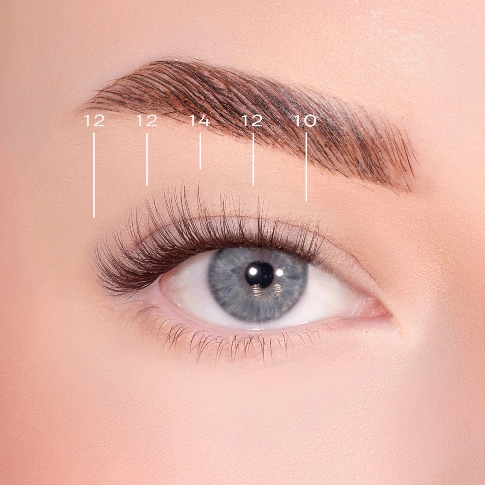 Soft Wisp Dark Brown Pre-Glued Lashes Set - Image 4